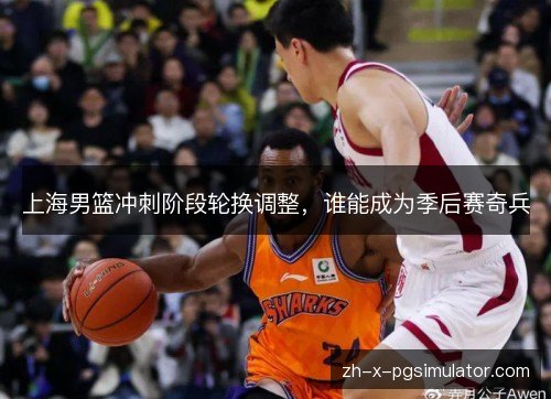 上海男篮冲刺阶段轮换调整，谁能成为季后赛奇兵